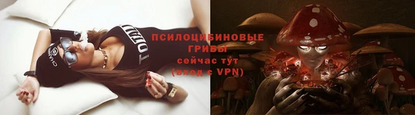 амф Вязьма