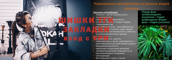 МДПВ Волосово