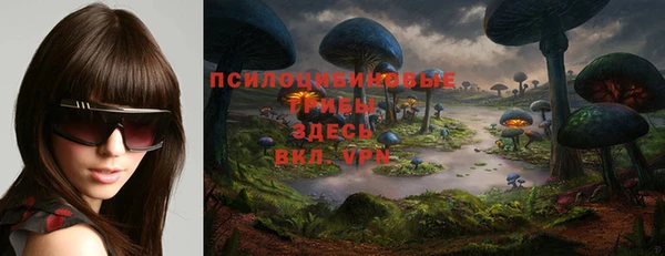 МДПВ Волосово
